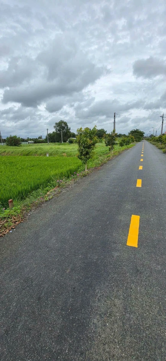 Bán 1000m² đất thổ cư Mỹ Lệ, Cần Dước 3,8 tỷ - Ảnh 1