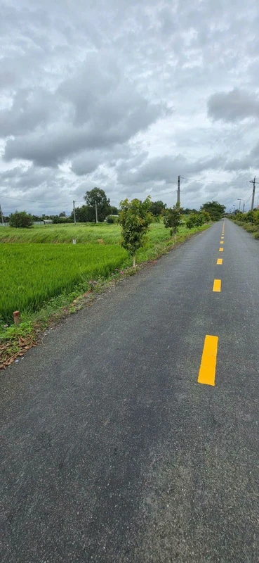 Bán 1000m² đất thổ cư Mỹ Lệ, Cần Dước 3,8 tỷ
