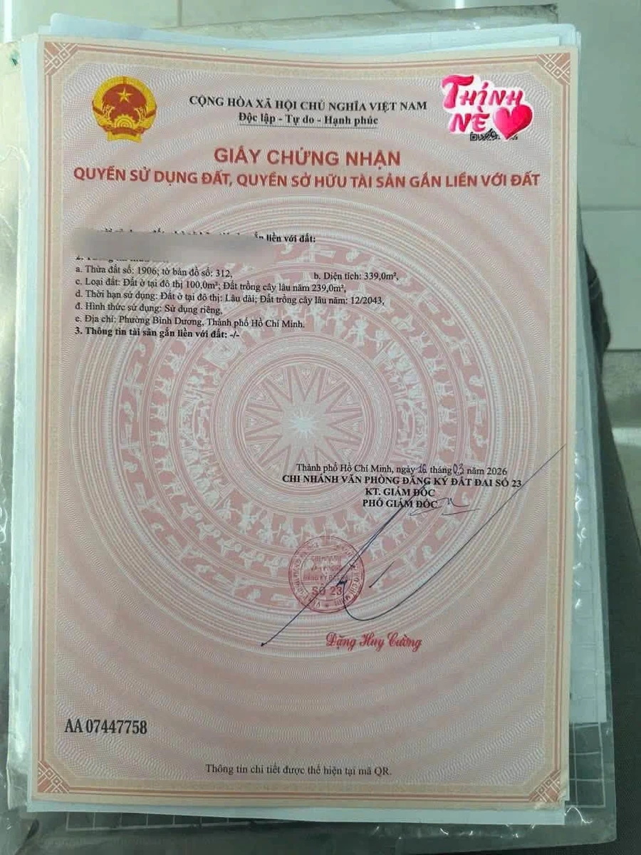 Bán đất mặt tiền DX19 Phú Mỹ 339 m2, Bình Thạnh - Ảnh 1