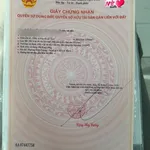 Bán đất mặt tiền DX19 Phú Mỹ 339 m2, Bình Thạnh - Ảnh thu nhỏ 1