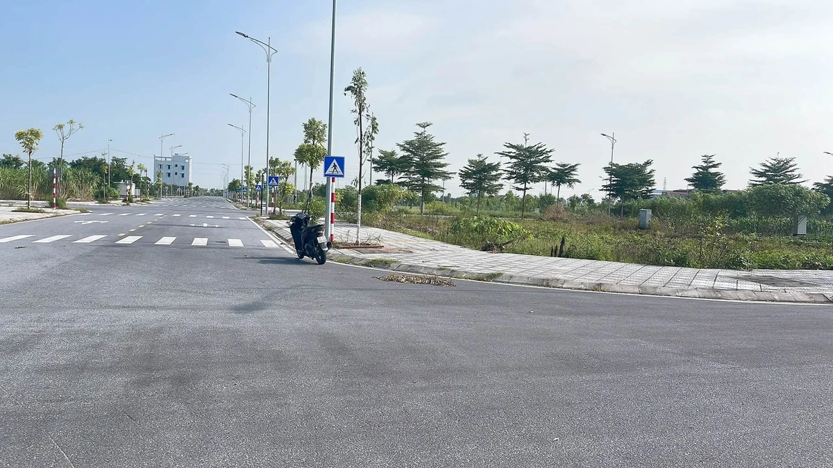 Bán lô đất góc 109m² KĐT Phú Thành, Bình Chánh 2.5 tỷ - Ảnh thu nhỏ 5