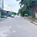 Bán lô đất thổ cư 100m2 Phường Hàm Thắng Nhà Bè - Ảnh thu nhỏ 1