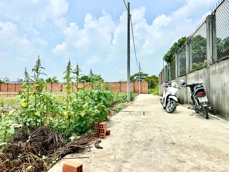 Bán đất nền 107.5m² sổ riêng tại Mỹ Lộc, Cần Giuộc 780 triệu