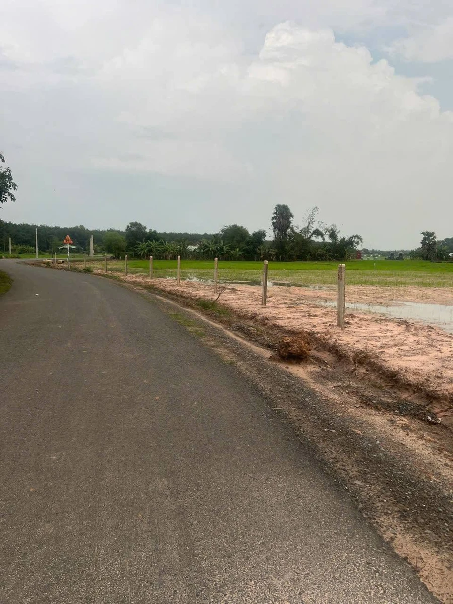 Bán đất 1169m² mặt tiền nhựa Long Thuận, Tây Ninh, 295 triệu - Ảnh thu nhỏ 5