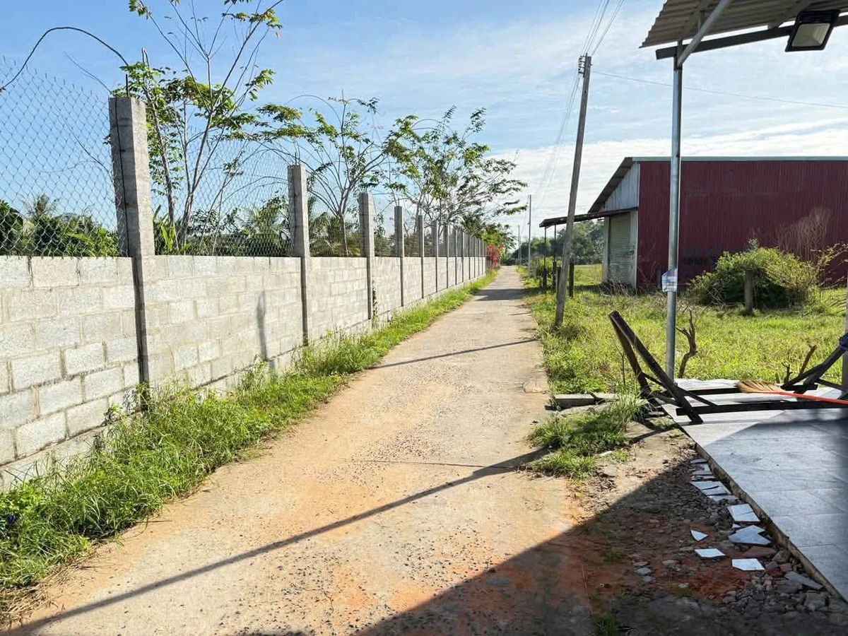 Bán 1500m² đất cây trồng Xã Hàm Liêm, Lâm Đồng - Ảnh 1