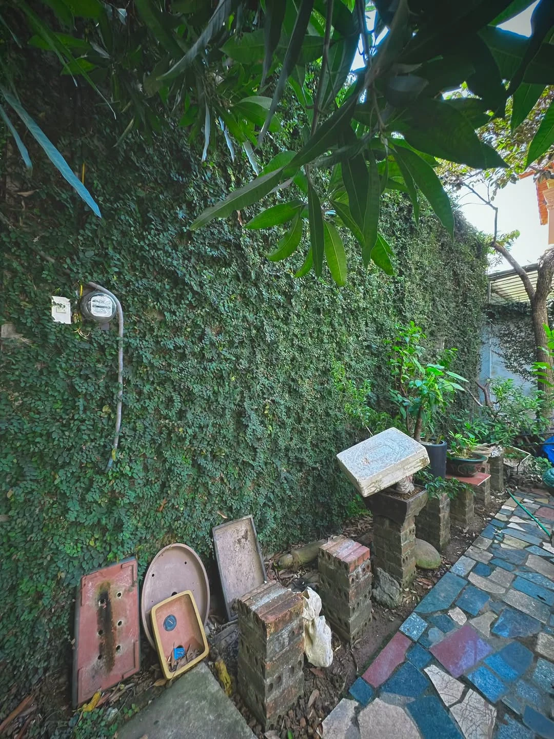 Bán nhà mặt ngõ Miếu Hai Xã 87,8m² 5 tỷ Hải Phòng - Ảnh 1