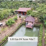 Bán nhà vườn hơn 1 sào 22x46m gần chợ Đạt Lý, Buôn Ma Thuột giá 3,9 tỷ - Ảnh thu nhỏ 1