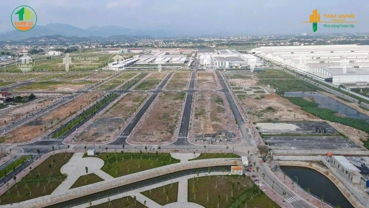 Bán đất nền 80m² mặt tiền Chí Linh từ 1 tỷ 3 - Ảnh thu nhỏ 2