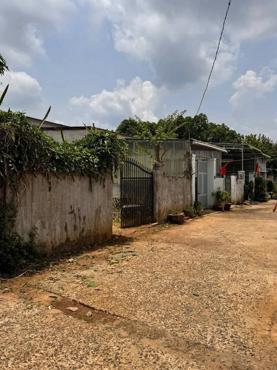 Bán đất 226m² Phường Tân An, Bình Chánh - Ảnh thu nhỏ 2