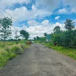 Bán lô đất 220 m² Buôn Đôn, Đắk Nông, 26 triệu/m² - Ảnh thu nhỏ 2