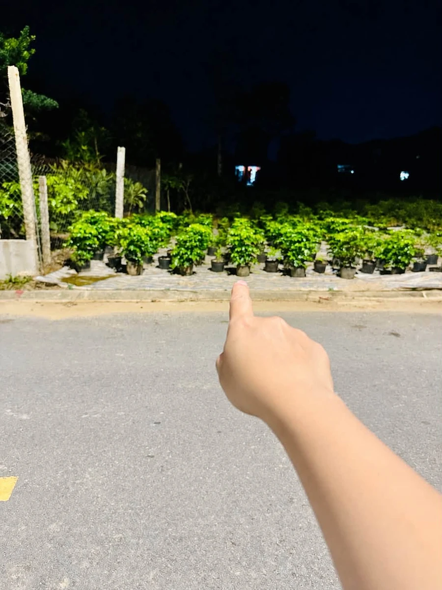 Bán đất 89,6m² đường Thanh Niên Vinh Phú, Nghệ An 2,9 tỷ - Ảnh 1