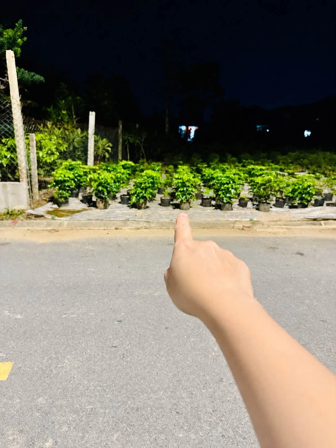 Bán đất 89,6m² đường Thanh Niên Vinh Phú, Nghệ An 2,9 tỷ - Ảnh 1