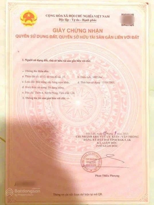 Vườn vải full siêu đẹp chỉ 6xxtr - Ảnh thu nhỏ 5