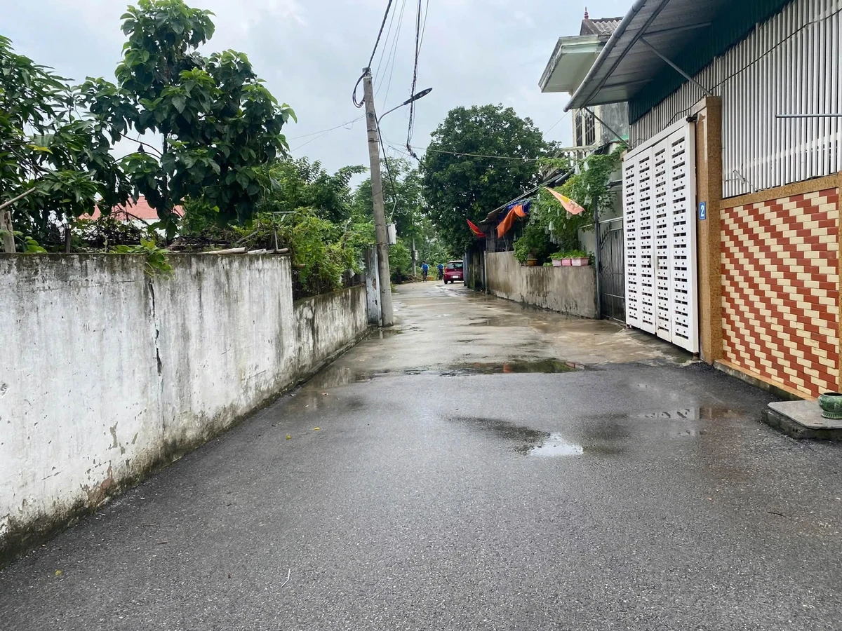 Bán nhà 3 phòng ngủ + đất 248,6m² Nghệ An - Ảnh thu nhỏ 5