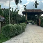 Bán nhà mặt tiền 100m2 Thân Văn Nhiếp, Huế - Ảnh thu nhỏ 2