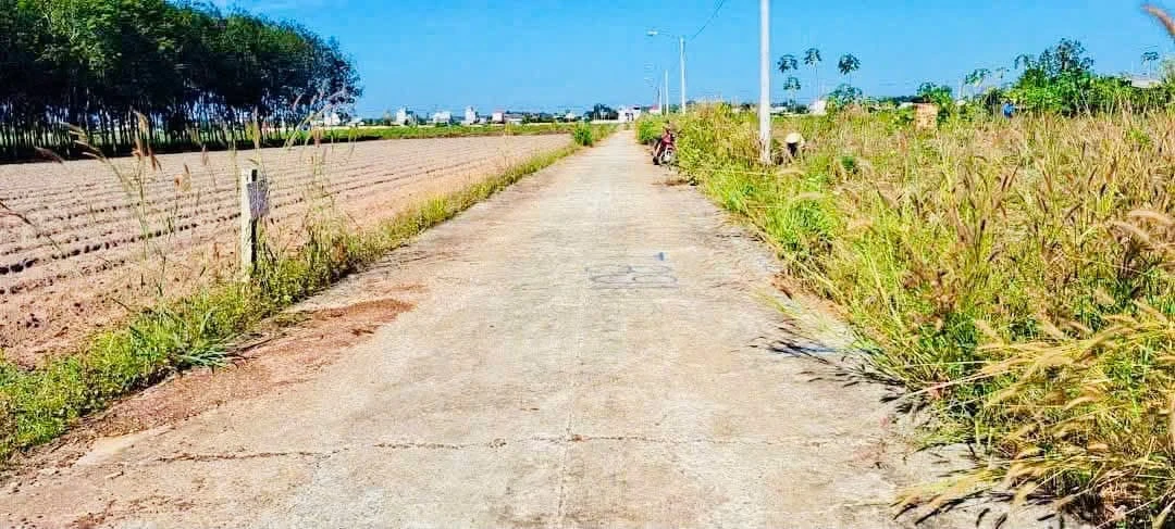 Bán đất 10x40m gần KCN Becamex Bình Dương 600 triệu - Ảnh 1
