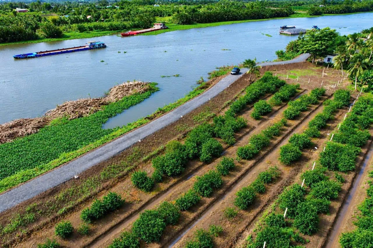 Bán 5 lô đất vườn 500m² view sông Vàm Cỏ Đông, Tây Ninh - Ảnh thu nhỏ 3