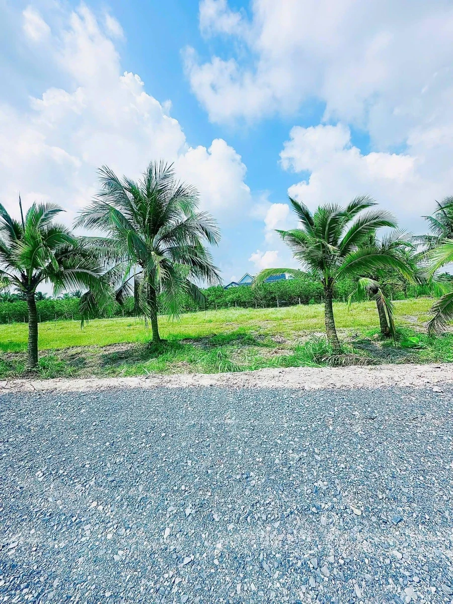 Bán đất 64m² Suối Cao Gia Lộc Tây Ninh 550 triệu - Ảnh thu nhỏ 2