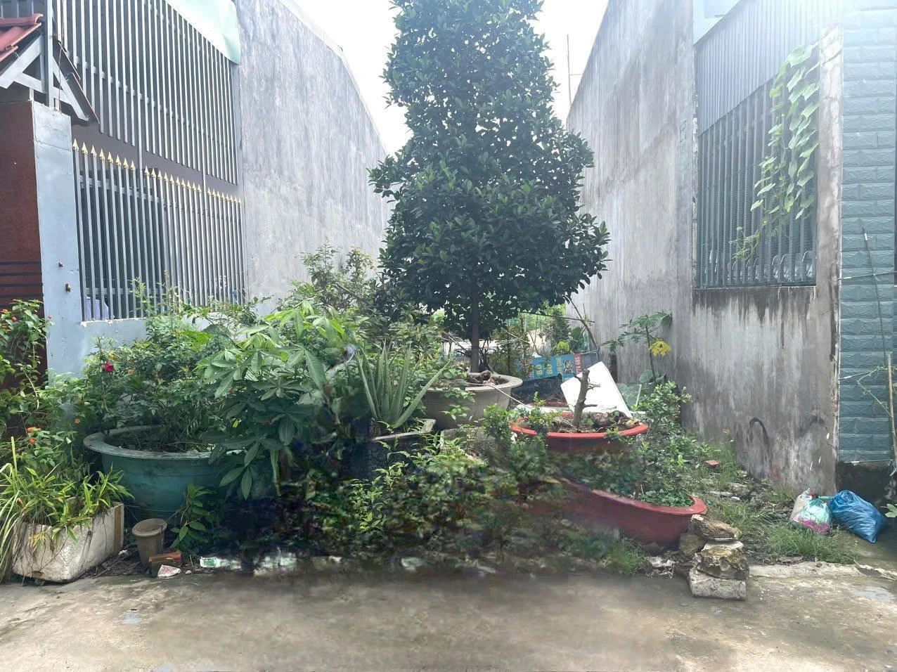 Bán lô đất 5x18m sổ hồng riêng, giá 1,09 tỷ tại Phường Trảng Dài, Biên Hòa - Ảnh 1