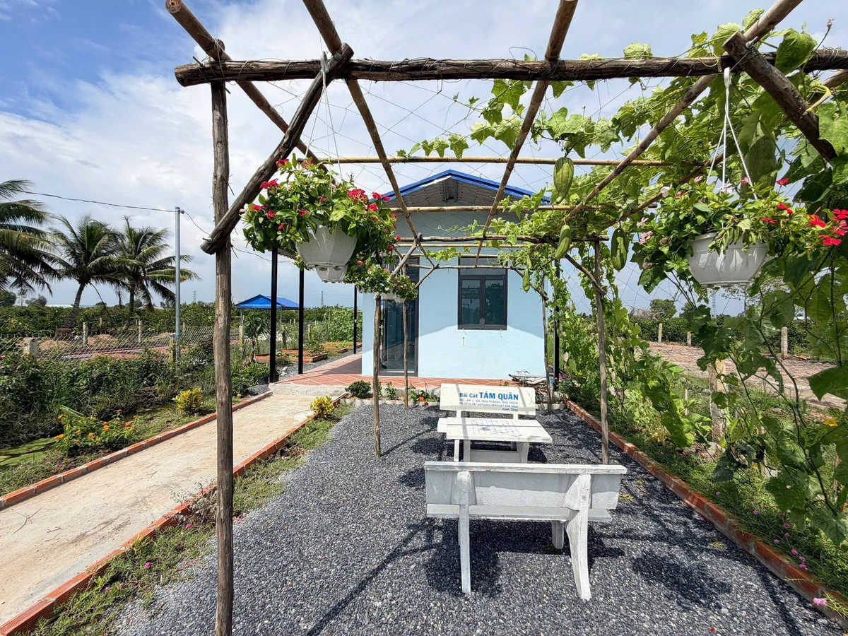 Bán nhà vườn 540m² giá 950 triệu Thủ Thừa, Long An - Ảnh thu nhỏ 3
