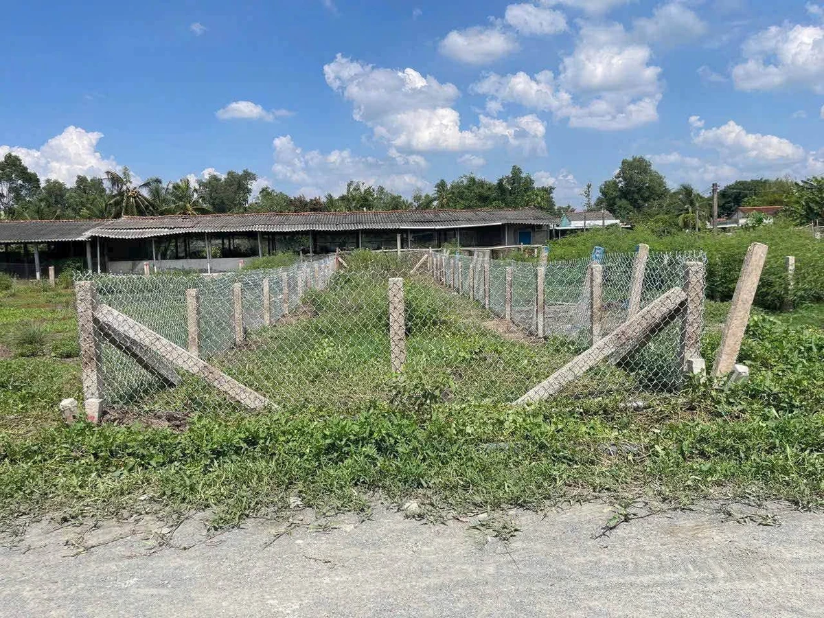 Bán đất mặt tiền Nguyễn Thị Tầm 150m² Tân Trụ - Ảnh thu nhỏ 2