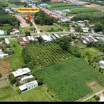 Bán đất Phước Hòa Tây Ninh 5x35m 4 tỷ full thổ cư - Ảnh thu nhỏ 3