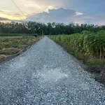Bán đất 1000m2 (11x90) xã Tân Thành, Thủ Thừa, Long An giá 490 triệu - Ảnh thu nhỏ 1