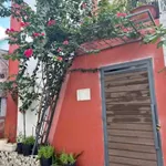 Bán nhà 1 trệt 1 gác lửng 64m2 sổ hồng riêng hẻm 177 Ngô Đức Tốn, giá 850 triệu - Ảnh thu nhỏ 2