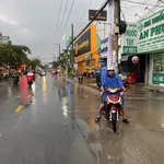 Bán đất mặt tiền Nguyễn Tri Phương, Bình Chánh, 1.518m² - Ảnh thu nhỏ 5
