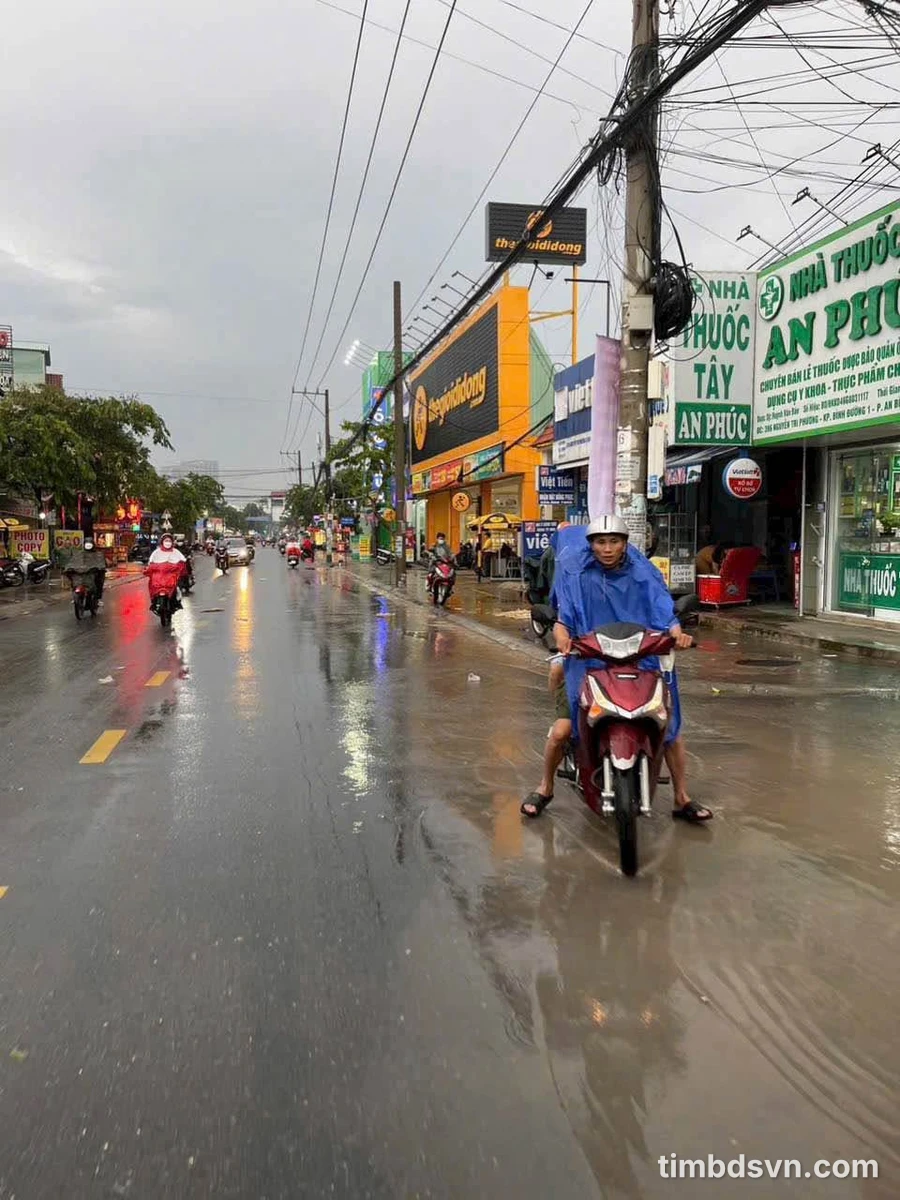 Bán đất mặt tiền Nguyễn Tri Phương, Bình Chánh, 1.518m² - Ảnh thu nhỏ 5