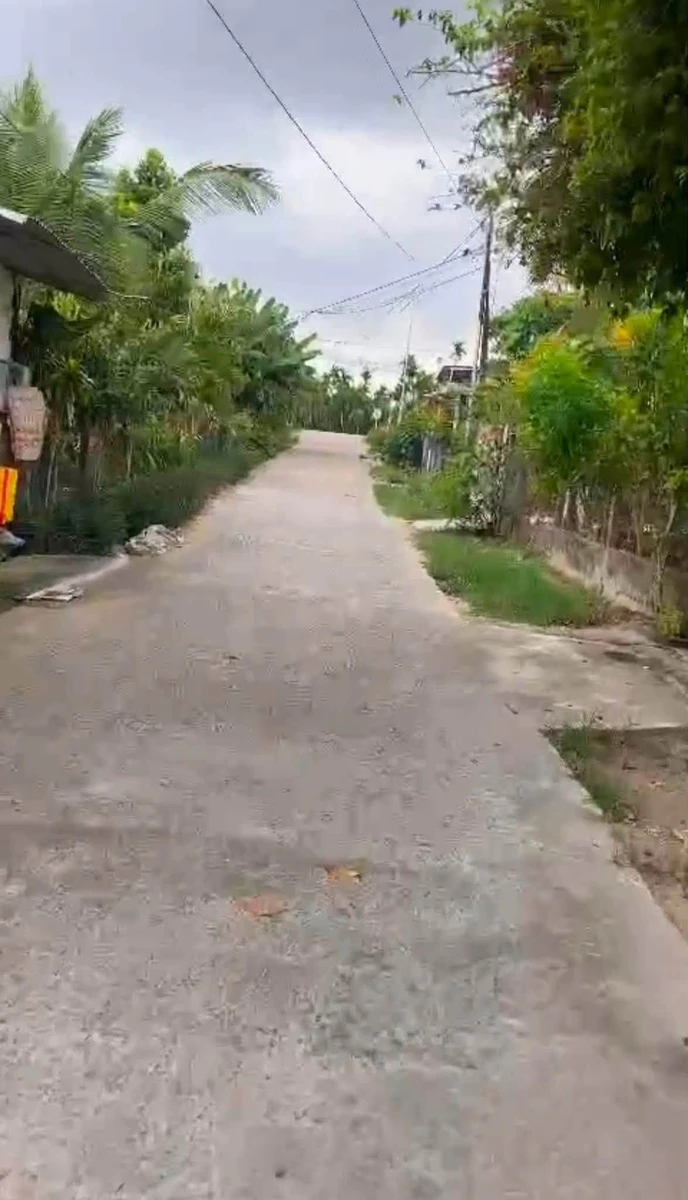 Bán lô đất ở Điền An, Bình Chánh, 5x28m (140m²) - Ảnh thu nhỏ 3