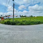 Bán lô đất thổ cư mặt tiền 379,6m² Hoà Phú, Long An - Ảnh thu nhỏ 2