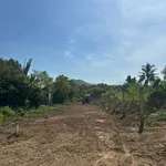 Bán đất tách thôn 1 Diên Đồng Khánh Hòa 152.7m² 499 triệu - Ảnh thu nhỏ 5