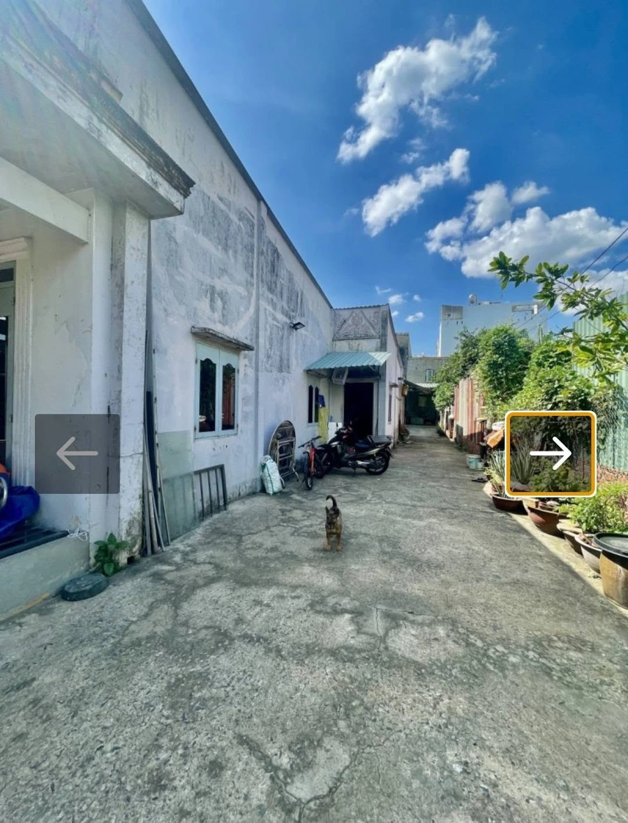 Bán đất thổ cư sân vườn nghỉ dưỡng 11x26m đường Liên Khu 1-6, Bình Trị Đông, Bình Tân - Ảnh thu nhỏ 3