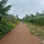 Bán đất trồng cây lâu năm 5.500m² tại Châu Đức - Ảnh thu nhỏ 3