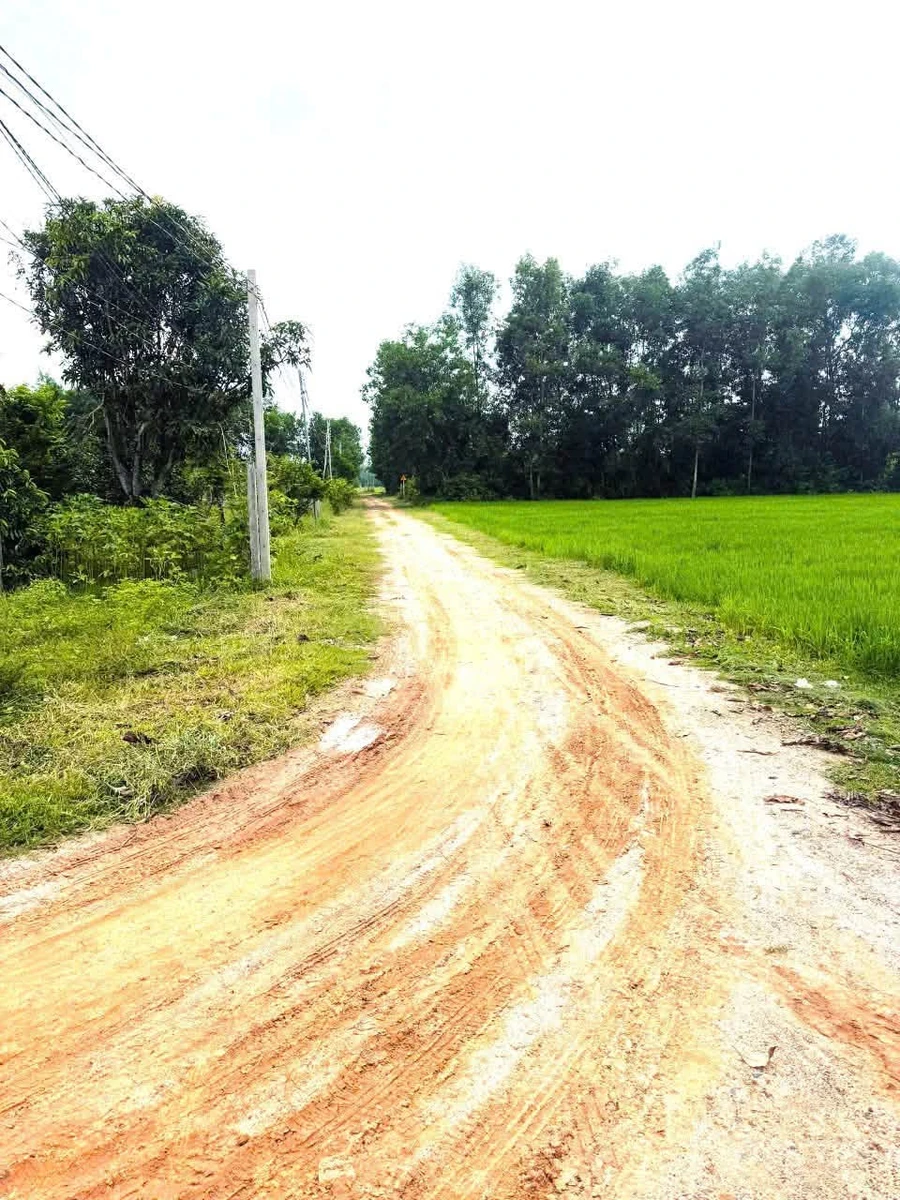 Bán đất Tây Ninh Ấp An Bình 280 triệu - Ảnh thu nhỏ 5