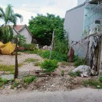 Bán Lô Đất 100m2 Đường Nguyễn Trung Trực, Tp. Tuy Hòa. Giá 1,35 tỷ. - Ảnh thu nhỏ 8