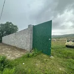 Bán 2,3 hecta đất cây trồng Mũi Né, Phan Thiết - Ảnh thu nhỏ 3