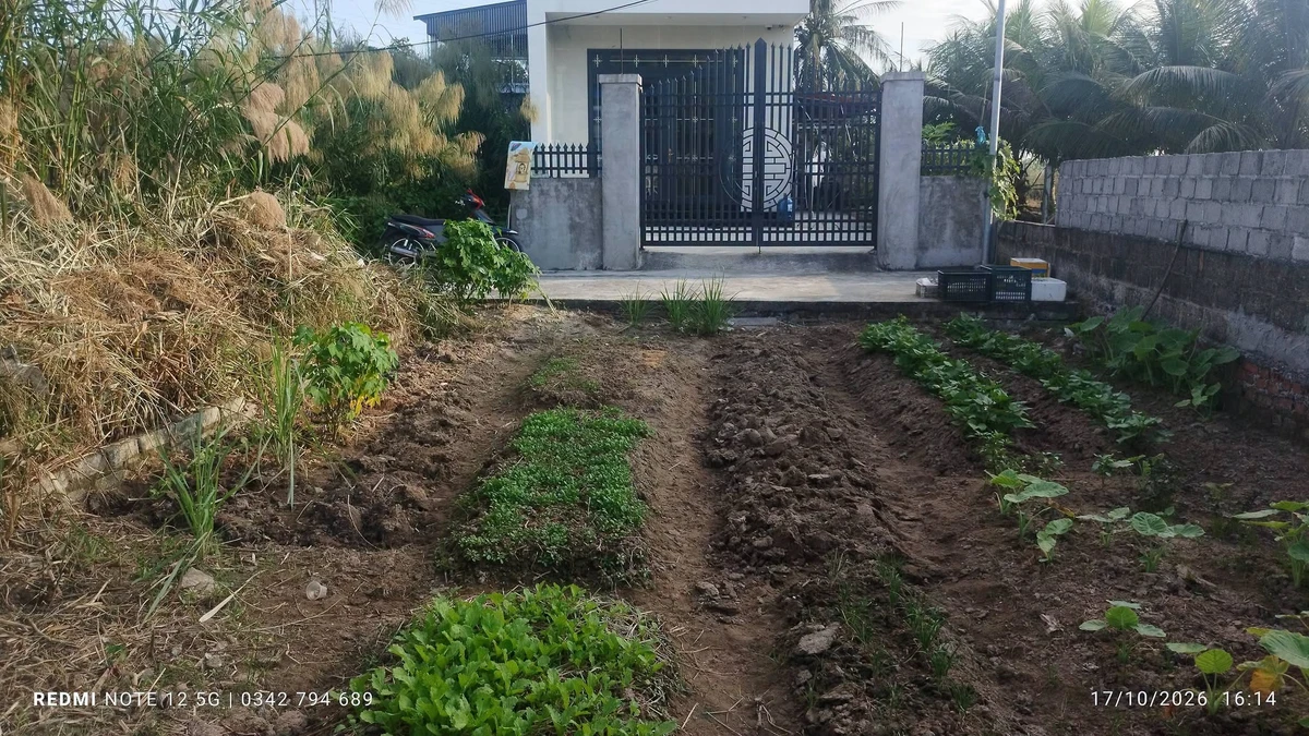 Bán đất Tiên Hội - An Lão 65m2, sổ hồng chuẩn, gần chợ - Ảnh thu nhỏ 4