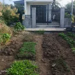 Bán đất Tiên Hội - An Lão 65m2, sổ hồng chuẩn, gần chợ - Ảnh thu nhỏ 4