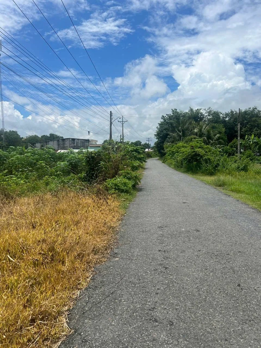 Bán đất thổ cư 400m² 850 triệu Long Chữ Tây Ninh - Ảnh thu nhỏ 4
