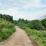 Bán đất 2.325m² thổ cư 2.000m² mặt tiền 40m Phú Cát Hà Nội - Ảnh thu nhỏ 4