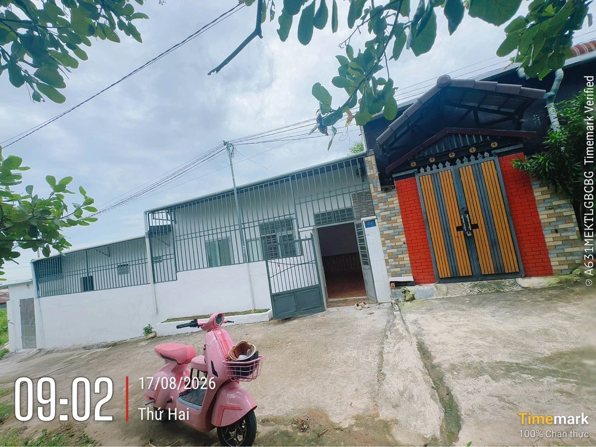 Bán nhà 2 phòng ngủ 86,1m2 phường Ea Tam, Đắk Lắk giá dưới 800 triệu - Ảnh thu nhỏ 4