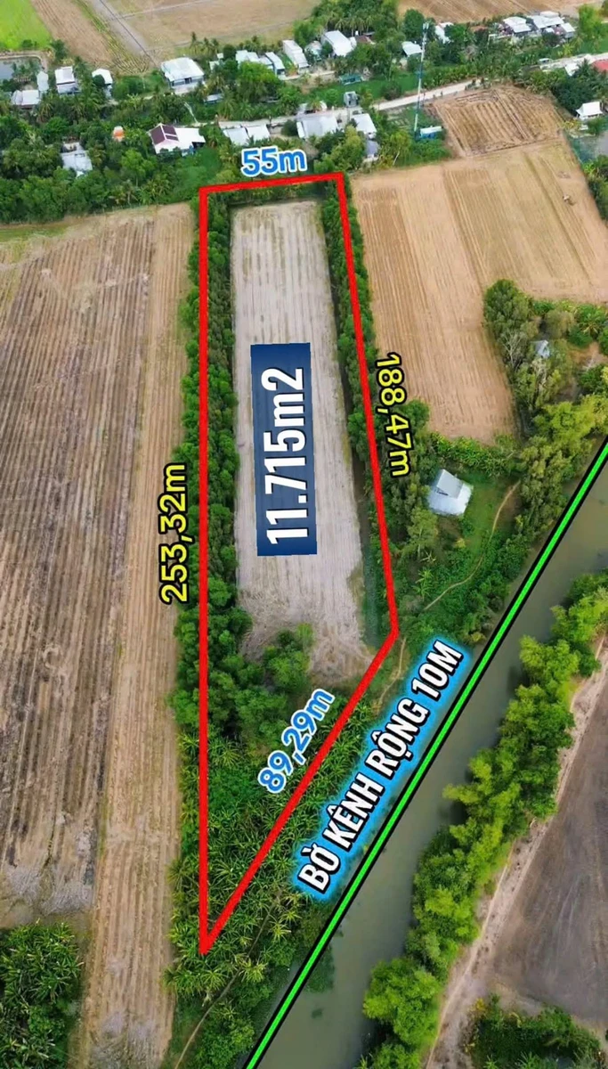 Bán đất ruộng 11.715m² Nguyễn Chánh, An Giang - Ảnh 1