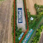Bán đất ruộng 11.715m² Nguyễn Chánh, An Giang - Ảnh thu nhỏ 1