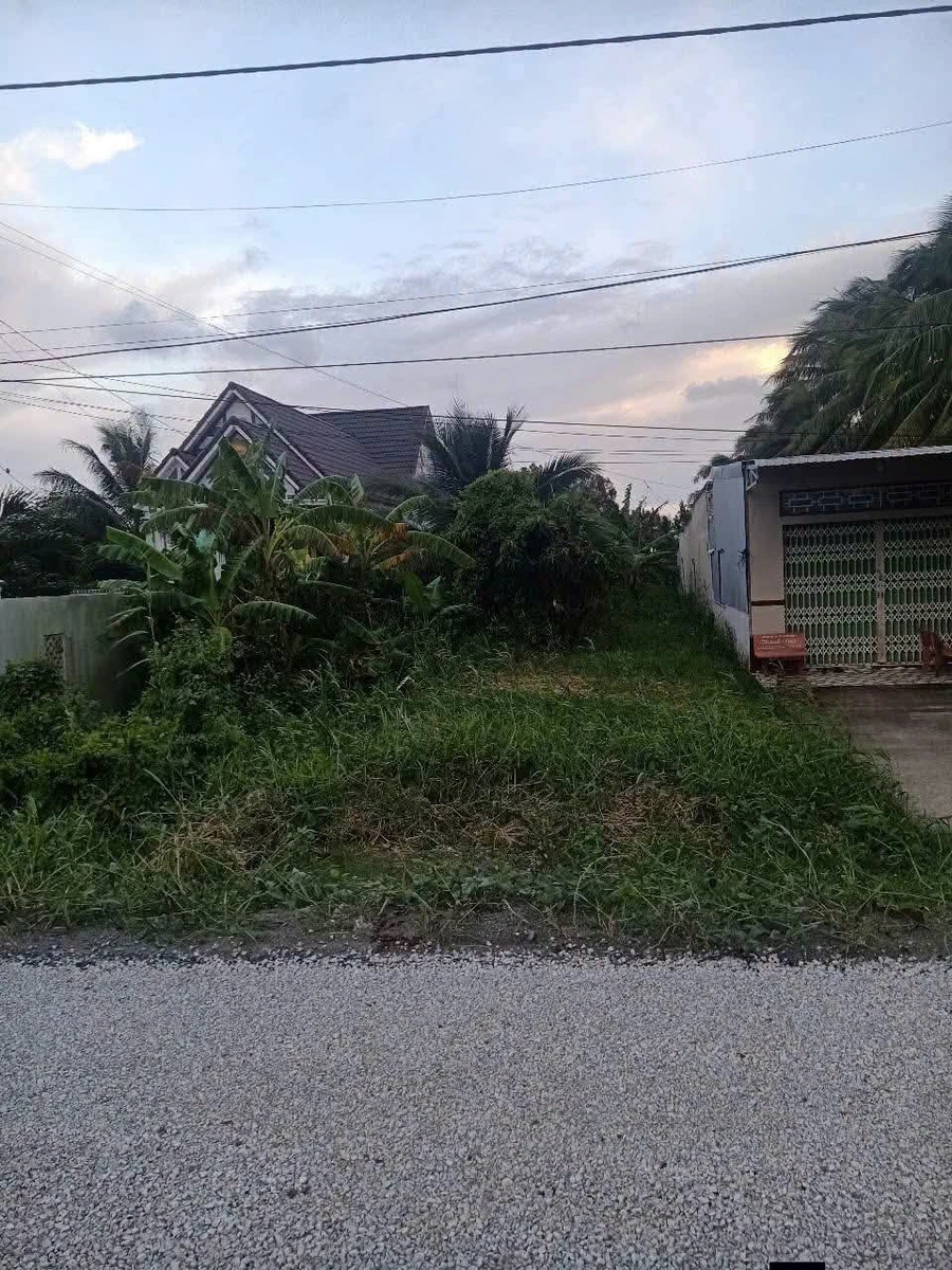 Bán nền đất 5x162m (810m2) giá 850 triệu tại Ấp 6, Xã Khánh Lâm, Cà Mau - Ảnh 1