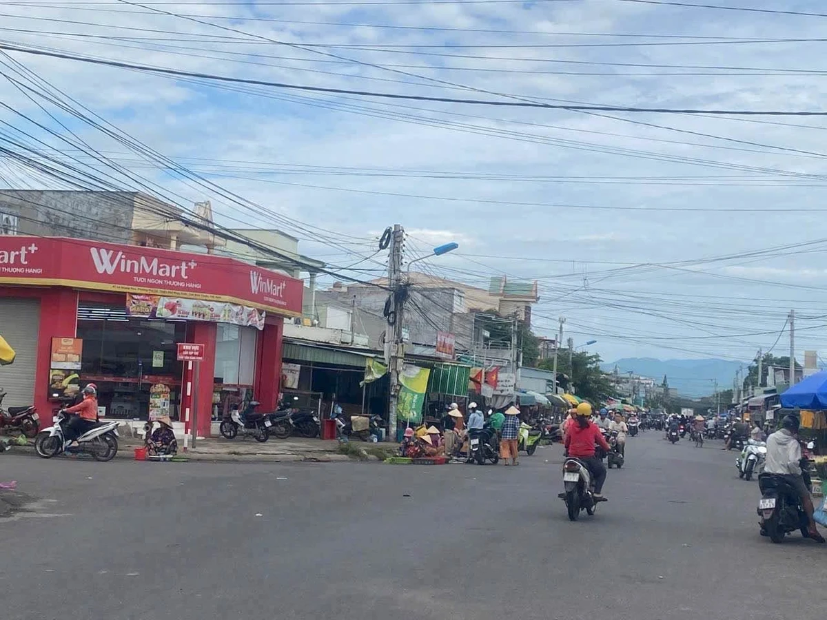 Bán lô đất 200m2 mặt tiền đường Lê Quang Đạo, Bình Thuận - Ảnh thu nhỏ 2