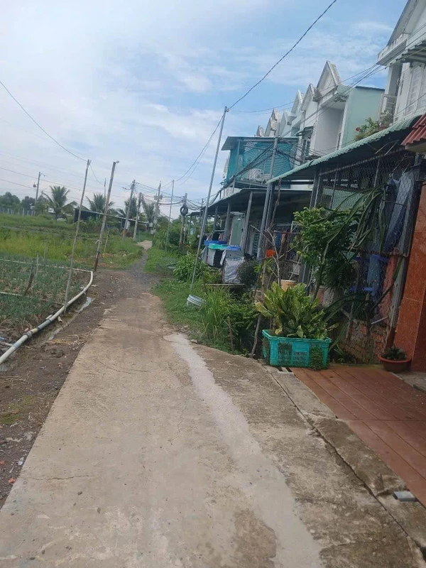 Bán lô đất Tân Điền 1900 m² Tây Ninh 2,9 tỷ