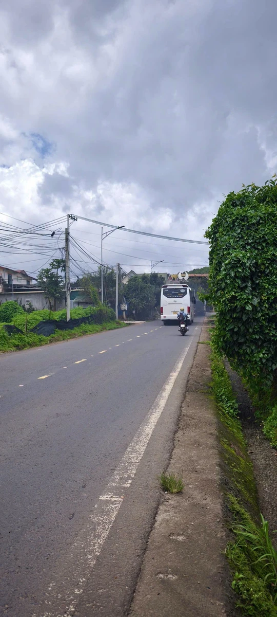 Bán lô đất 12.716m² 2 mặt tiền đường DT725 Đà Lạt - Ảnh thu nhỏ 4