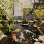Bán biệt thự phong cách Nhật 122m² đường Nguyễn Thượng Hiền, Phường 1, Gò Vấp - Ảnh thu nhỏ 1